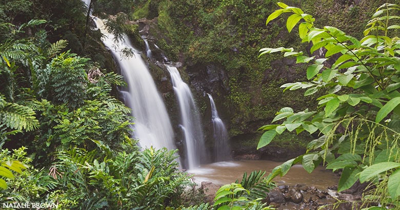 Hana waterfall Tours