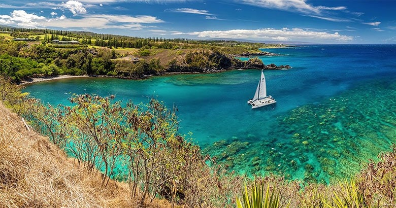 Honolua Snorkel