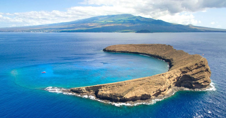 Molokini snorkel